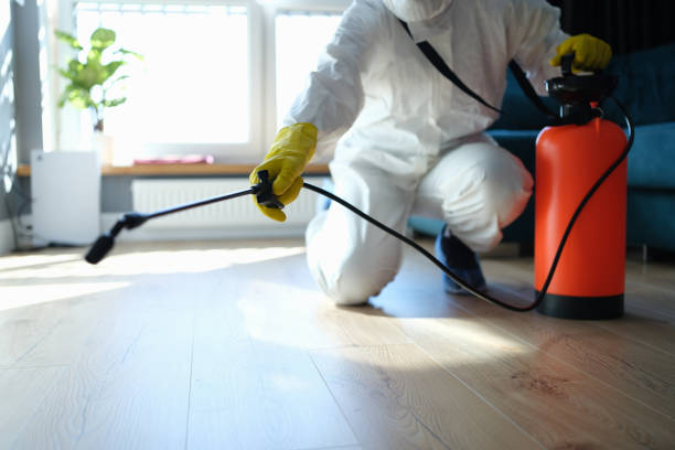Reliable Biohazard Cleanup contractor in Nederland, CO by Dulley Family Biohazard Services